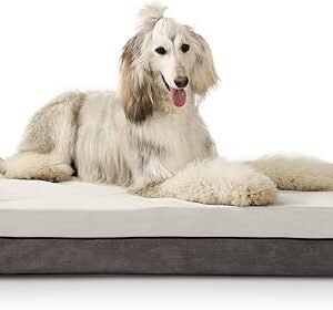 Doberman Pinschers Shop