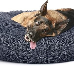 Doberman Pinschers Shop