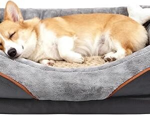 Doberman Pinschers Shop