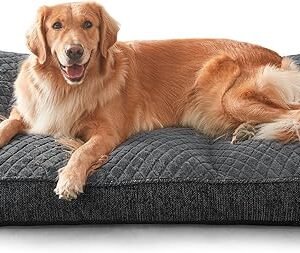 Doberman Pinschers Shop