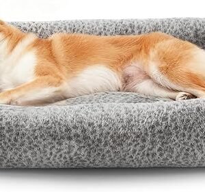 Doberman Pinschers Shop