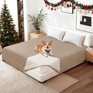 Doberman Pinschers Shop