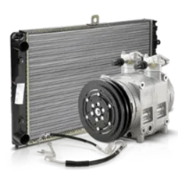 Doberman Pinschers Shop