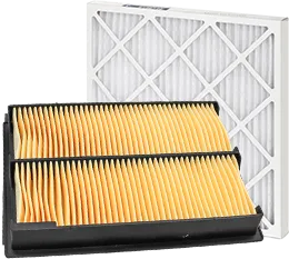 Doberman Pinschers Shop