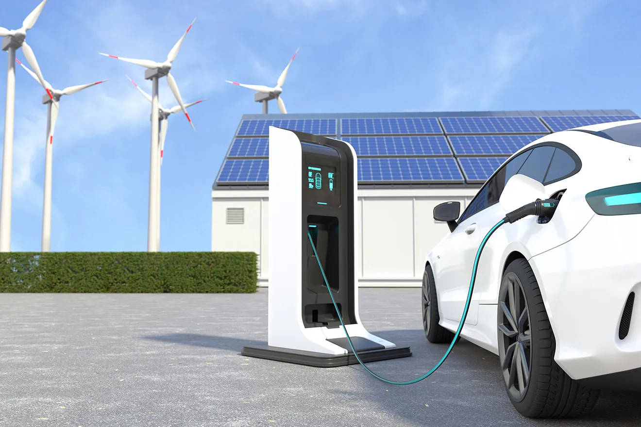 Doberman Pinschers Shop