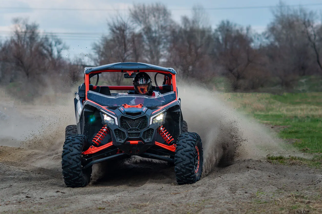 Doberman Pinschers Shop