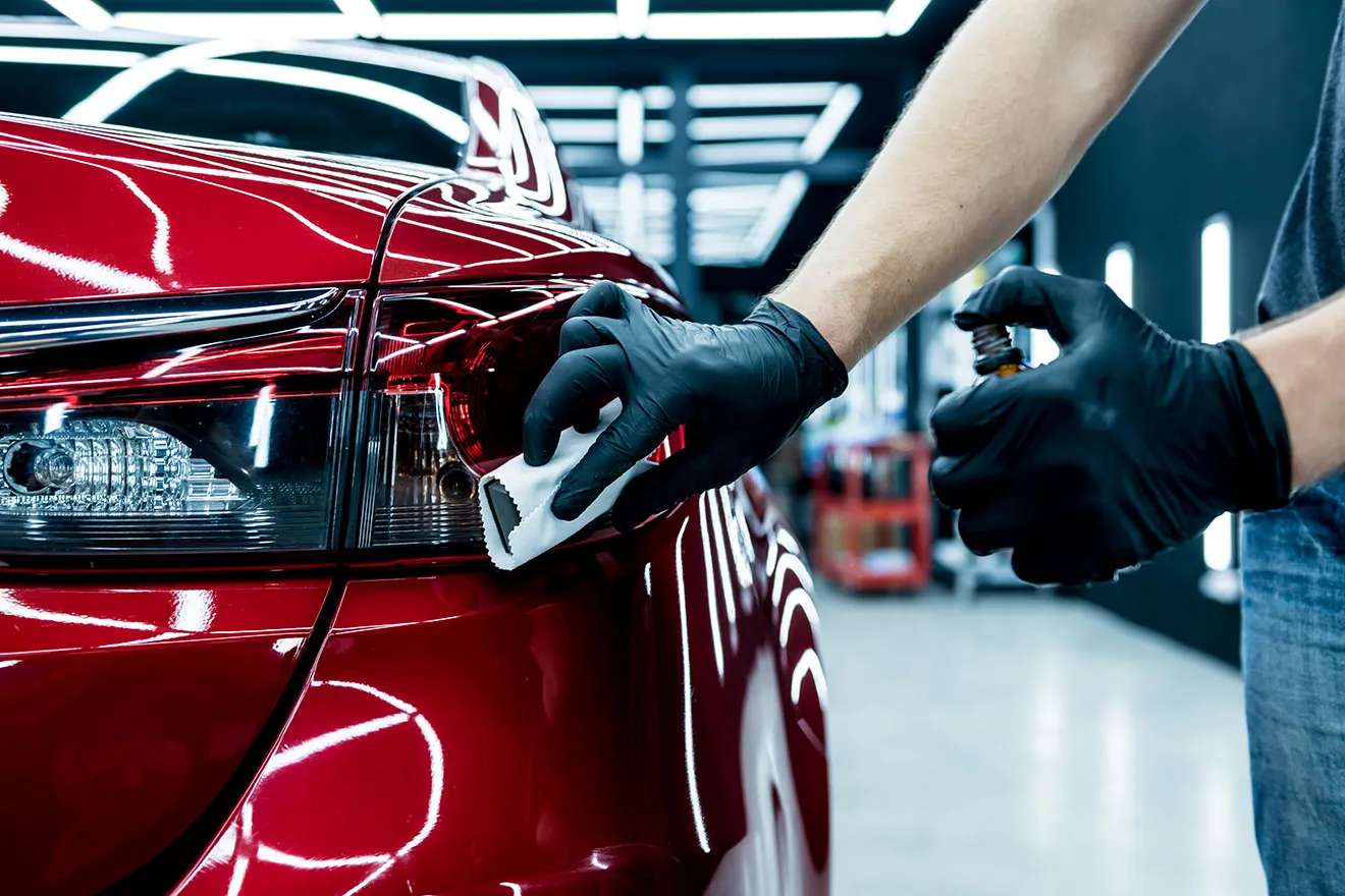 Doberman Pinschers Shop