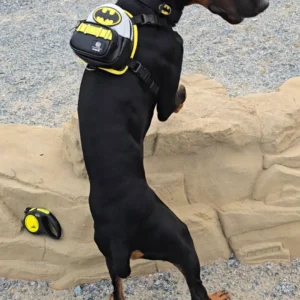 Doberman Pinschers Shop