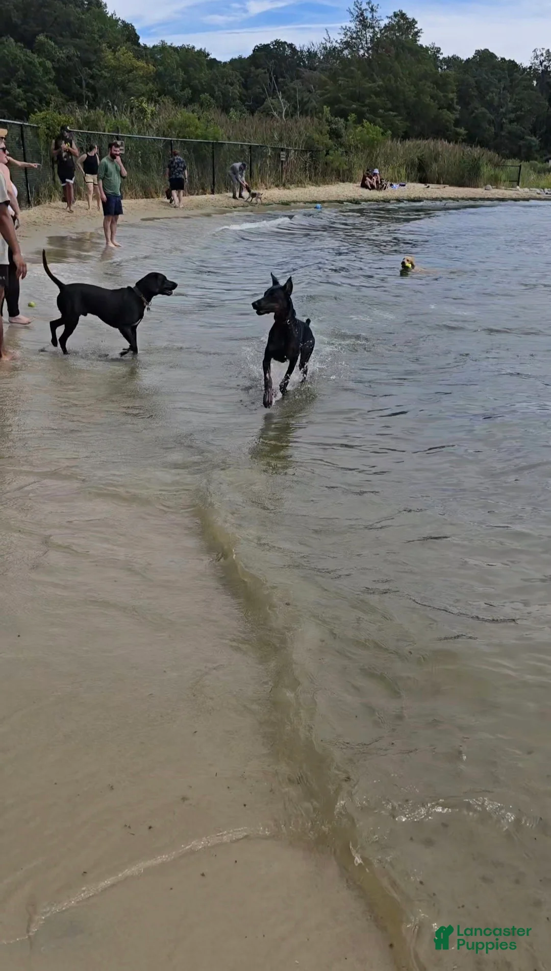 Prince Charming - Image 11