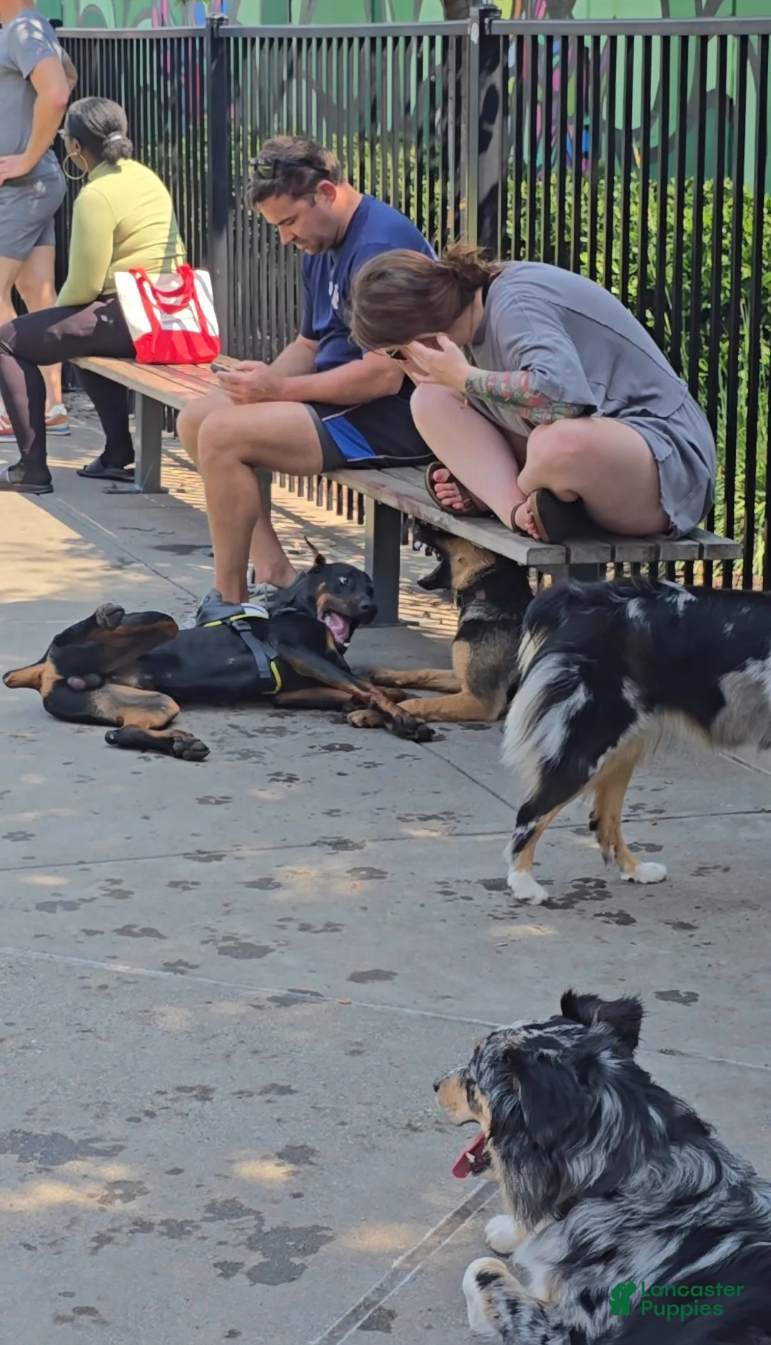 Prince Charming - Image 12